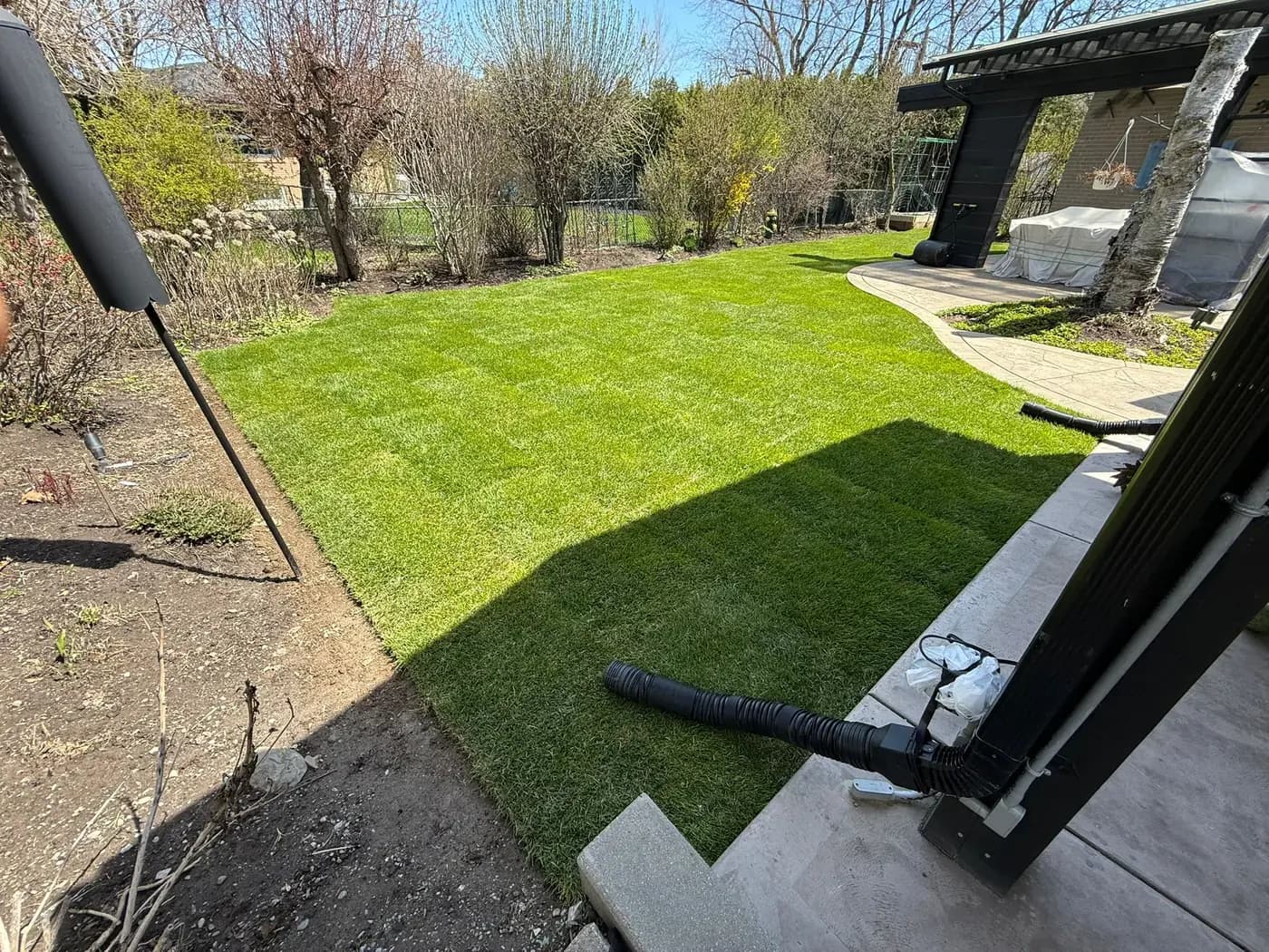 The same rear yard graded and sodded, with the lawn cut cleanly along the curved walkway