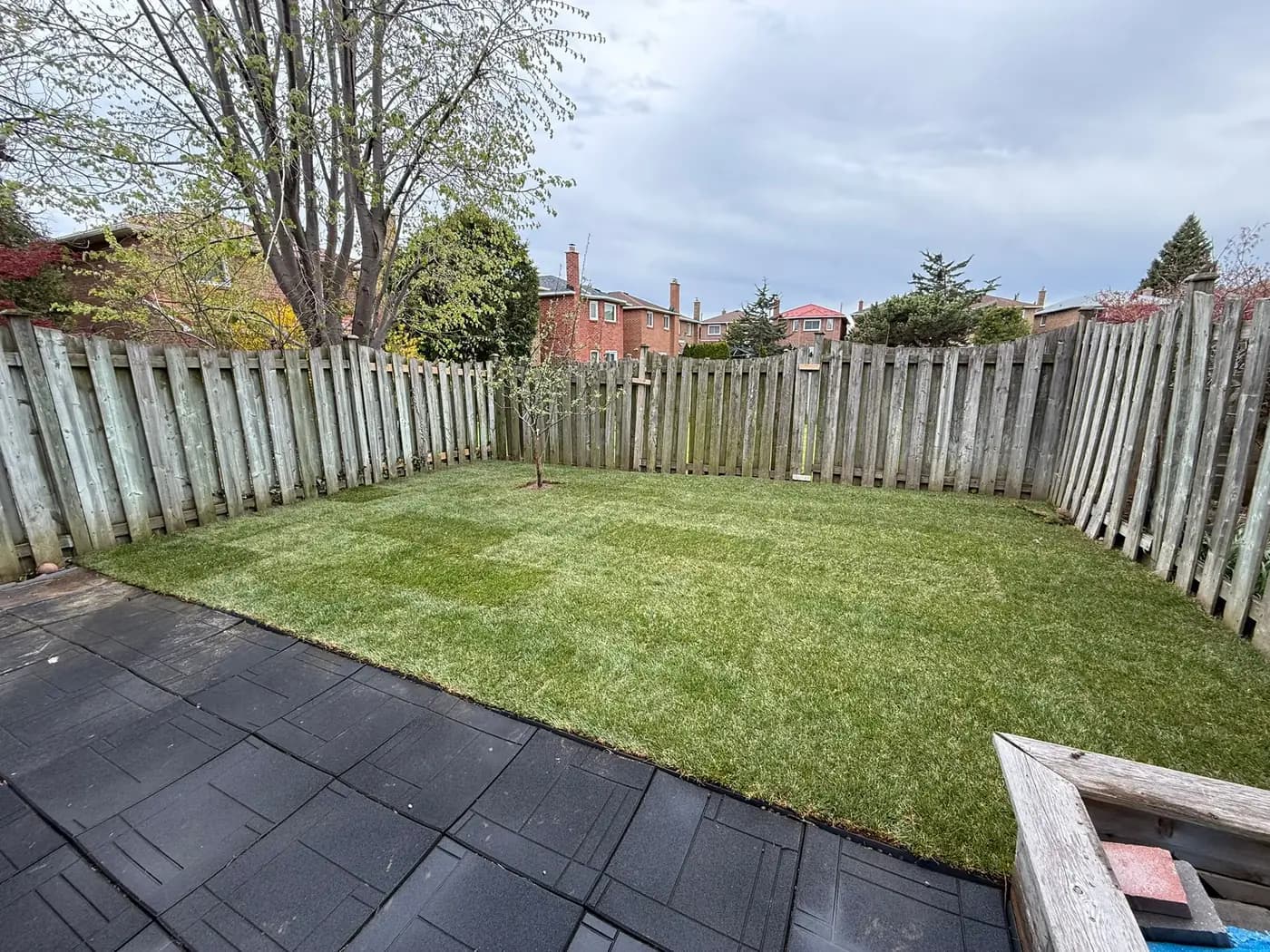 The same back yard with fresh sod laid wall to wall and cut clean against the paver patio